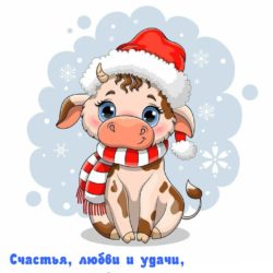Поздравление с Новым годом!